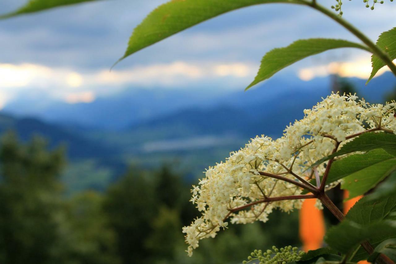 Scheibenwald Huette Villa Kössen Buitenkant foto